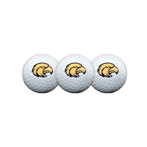 North Carolina Charlotte Forty-Niners 4-Inch Round Golf Ball Magnet 